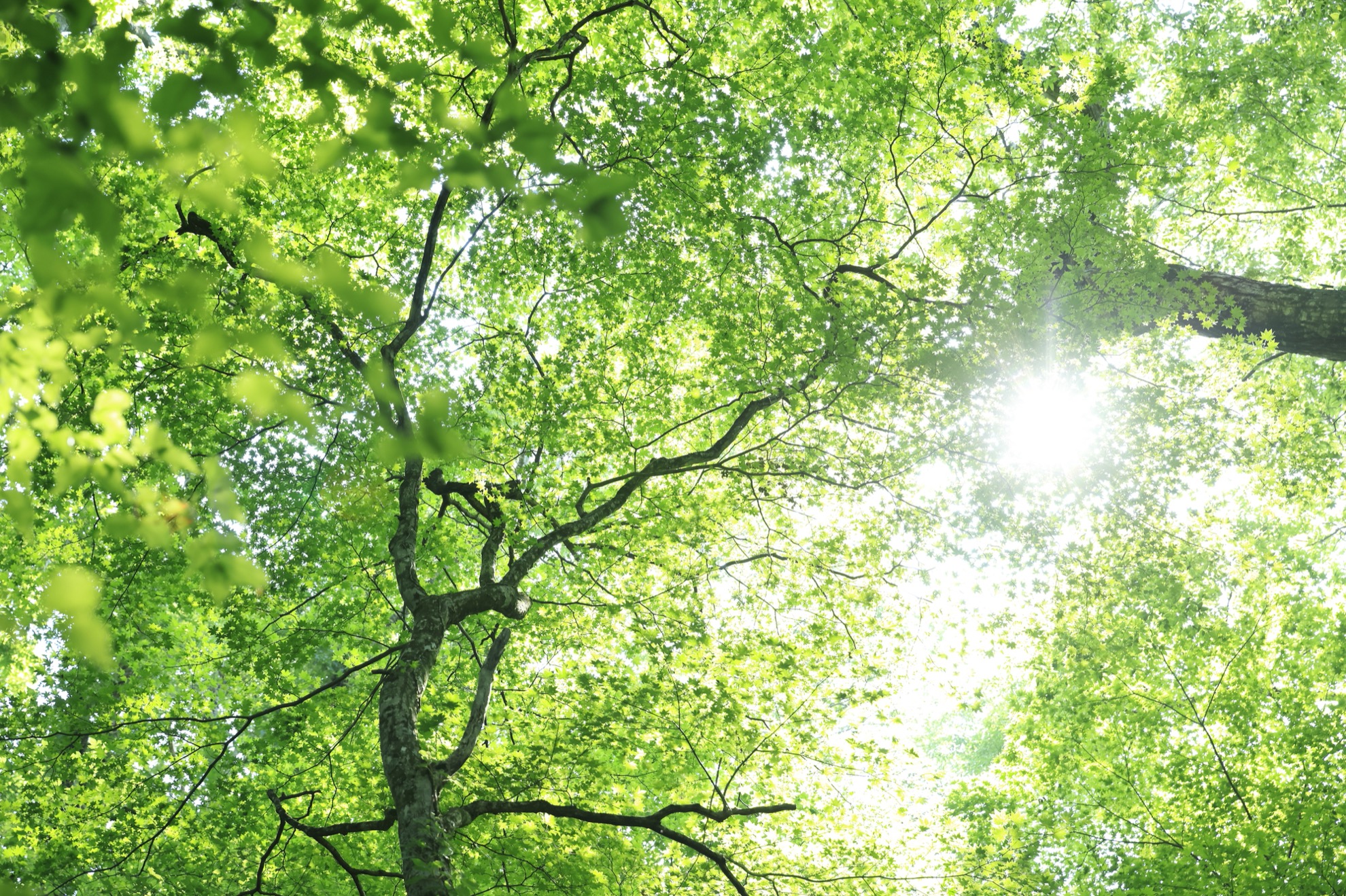 リノベーションにおける環境負荷の軽減効果