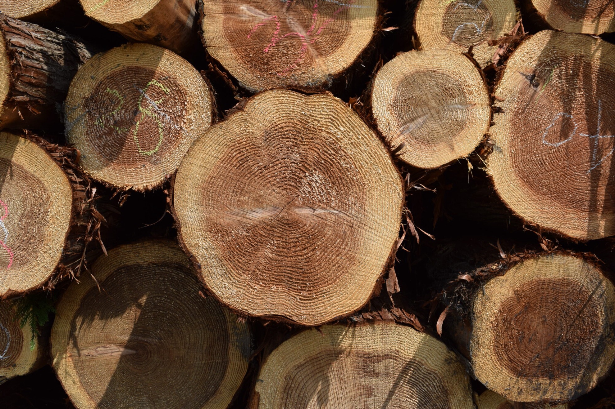 大規模な建築プロジェクトの補助金制度 ~CLT（Cross-Laminated Timber）~